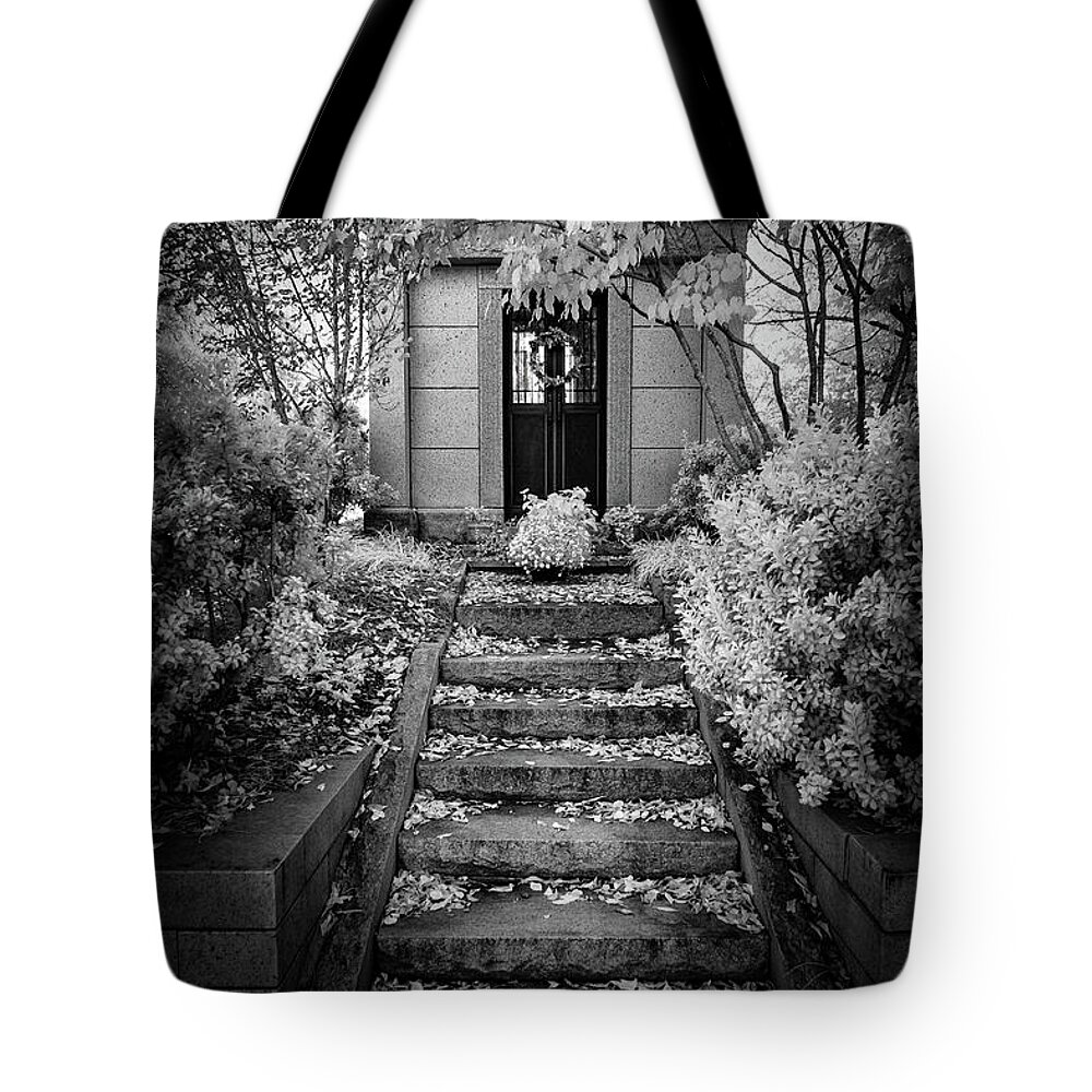 Autumn Tote Bag featuring the photograph Up the Autumn Staircase bw by Dan Carmichael