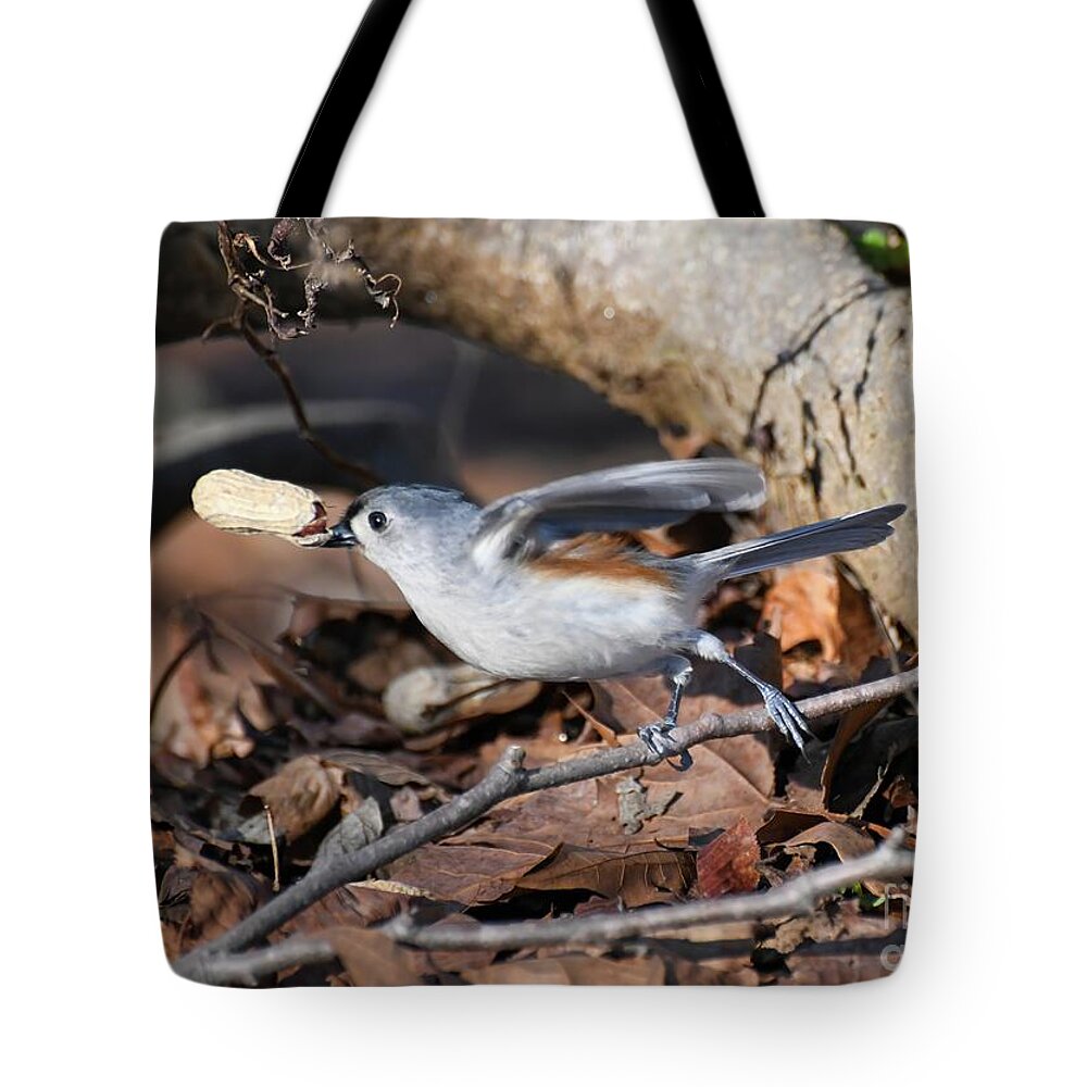 Tufted Titmouse Tote Bag featuring the photograph Up To The Challenge by Kerri Farley
