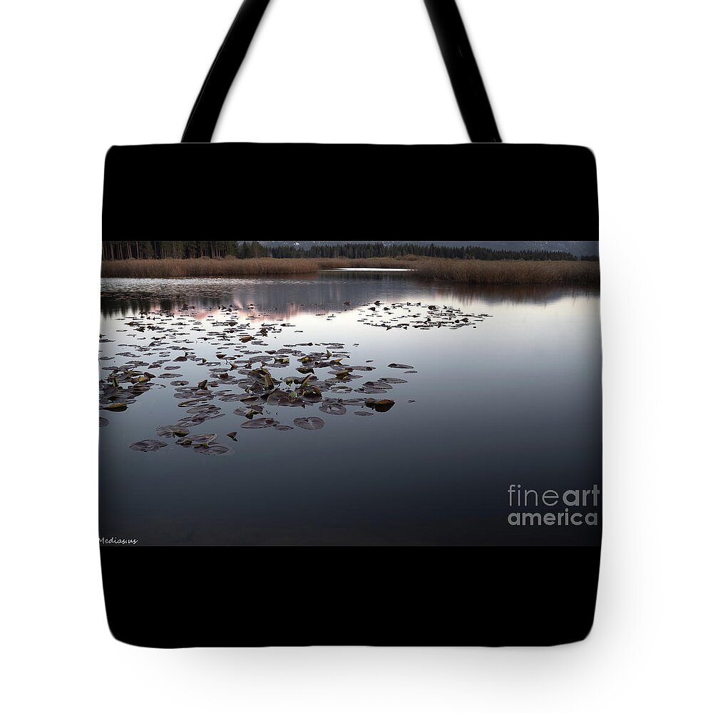  U.s.a. Tote Bag featuring the photograph Upper Truckee River marsh lagoon in between seasons, El Dorado National Forest, California, U.S.A. by PROMedias US
