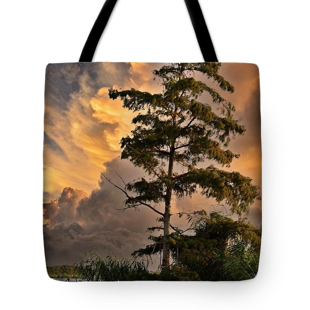 Louisiana Tote Bag featuring the photograph USA Southern Louisiana and Bayou Landscape Vista 1 by Maggy Marsh
