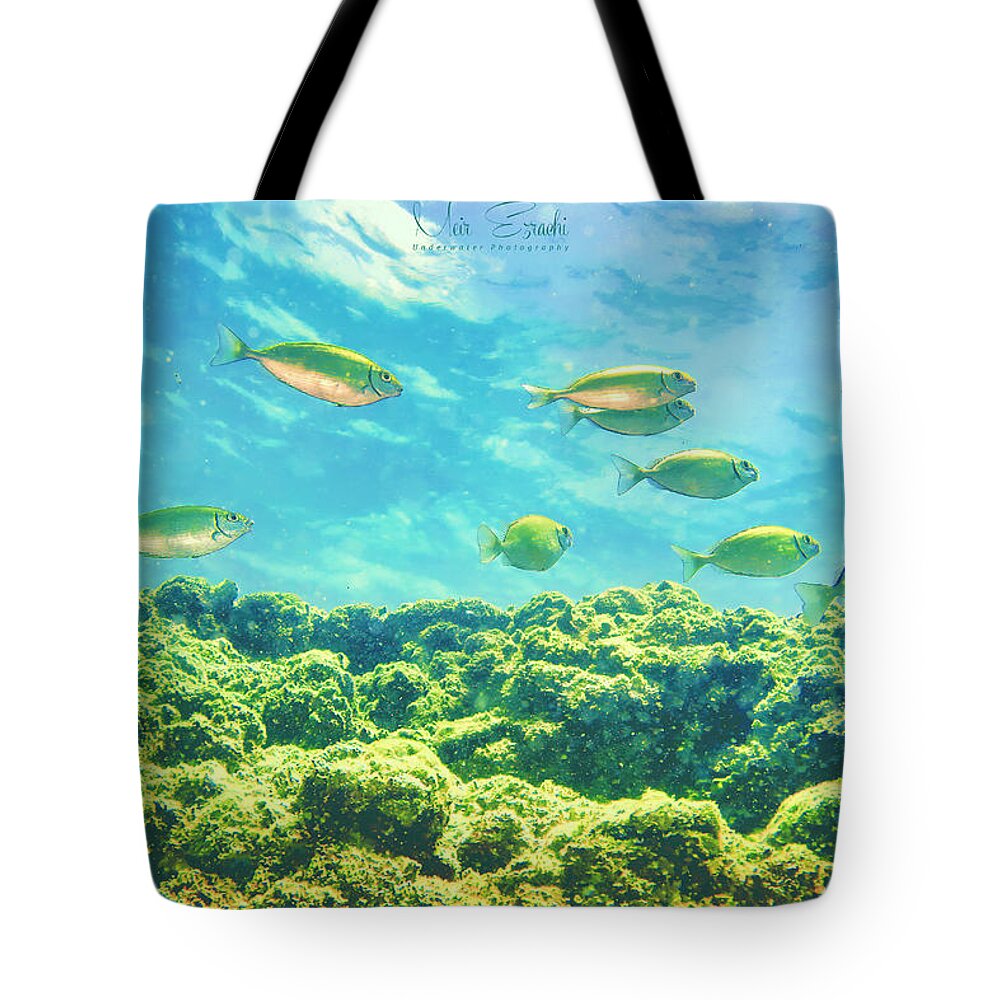 Under Water Tote Bag featuring the photograph Uw 20210729 by Meir Ezrachi