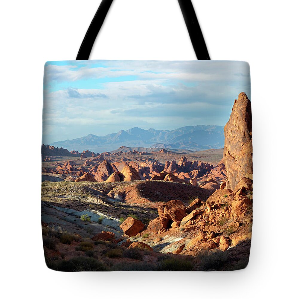 Nature Tote Bag featuring the photograph Valley Of Fire XXIII by Ricky Barnard