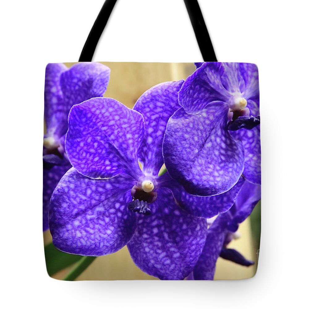 China Tote Bag featuring the photograph Vanda Orchid II by Tanya Owens