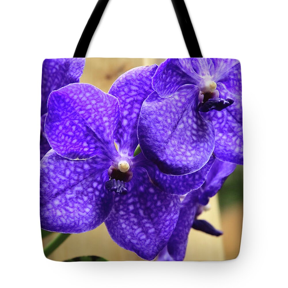 China Tote Bag featuring the photograph Vanda Orchid Portrait II by Tanya Owens