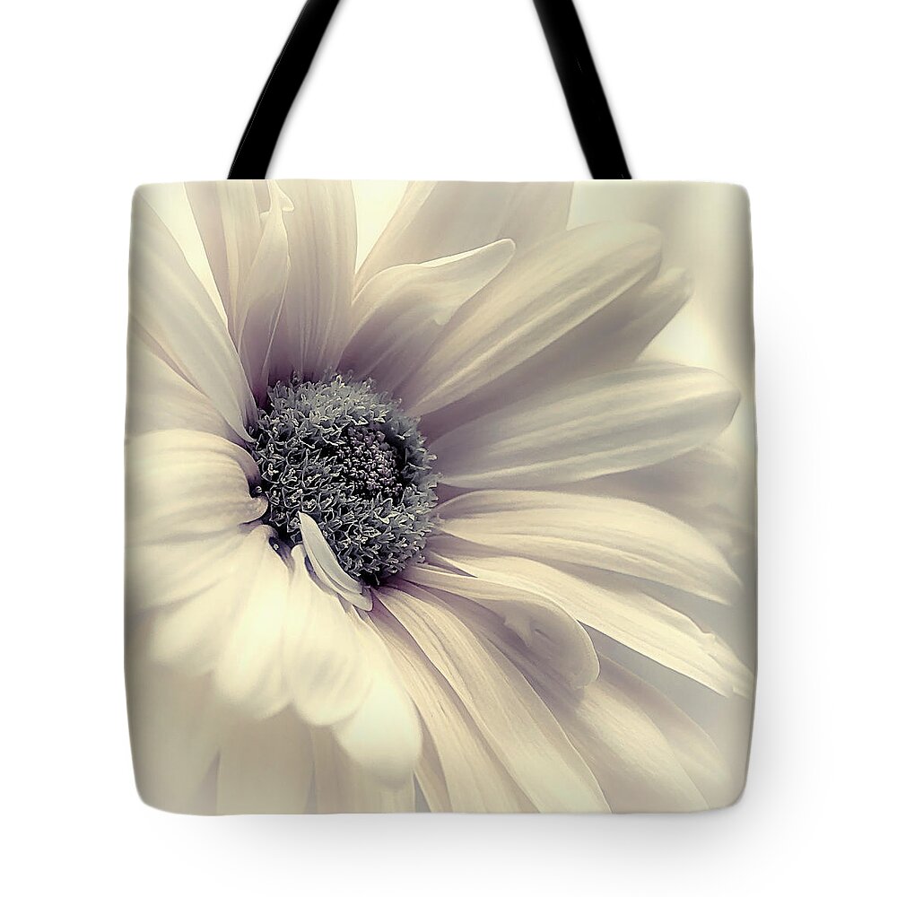 Nature Tote Bag featuring the photograph Veil of the Sun Blue Ice update by Darlene Kwiatkowski