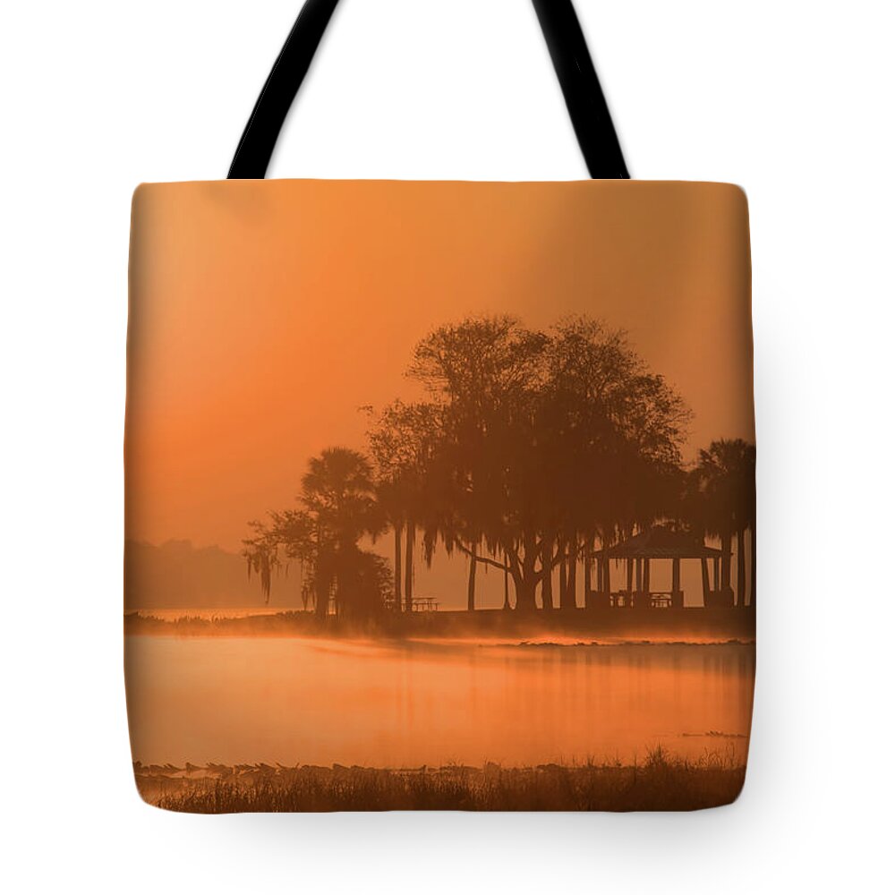Venetian Gardens Tote Bag featuring the photograph Venetian Gardens Park at Sunrise by CR Courson