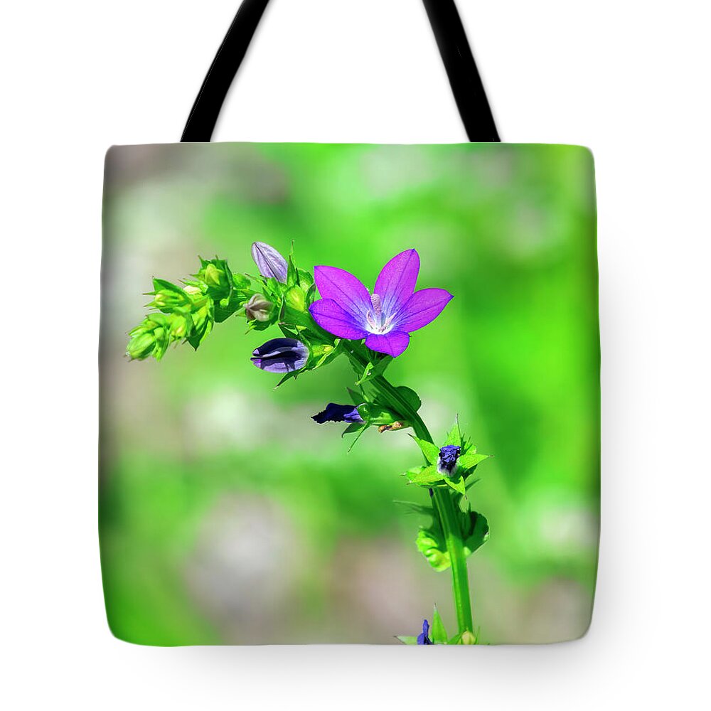 Bellflower Family Tote Bag featuring the photograph Venus' Looking-glass DFL1157 by Gerry Gantt