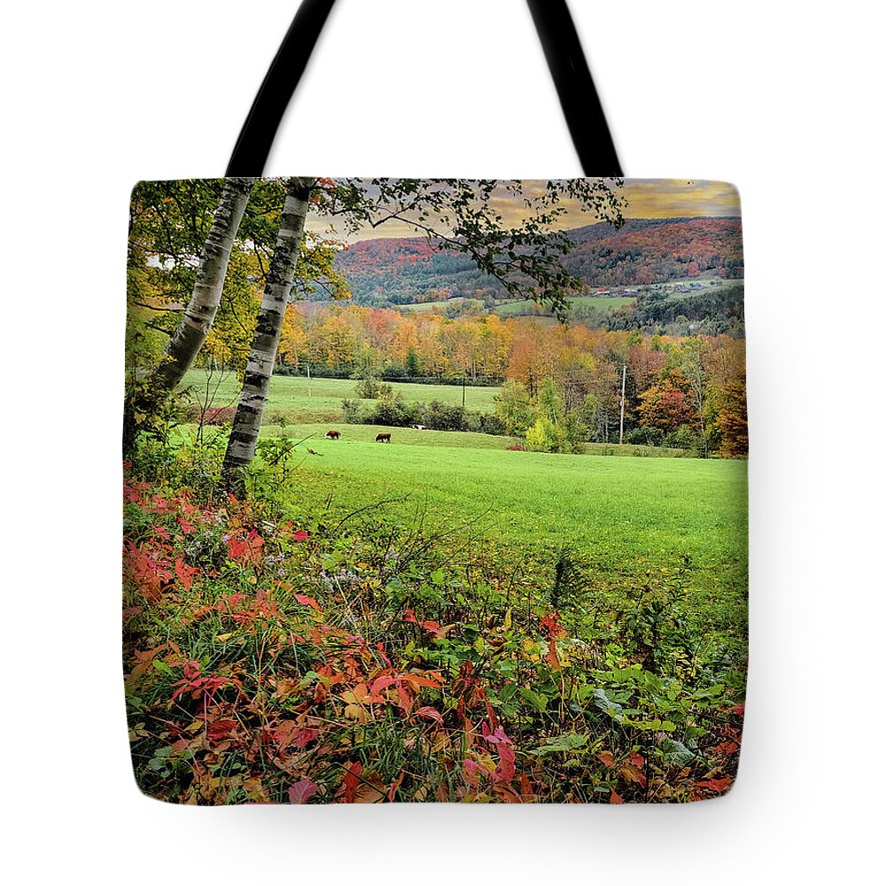 1902 Maple Grove Farm Tote Bag featuring the photograph Vermont Morning on the Farm by Jeff Folger
