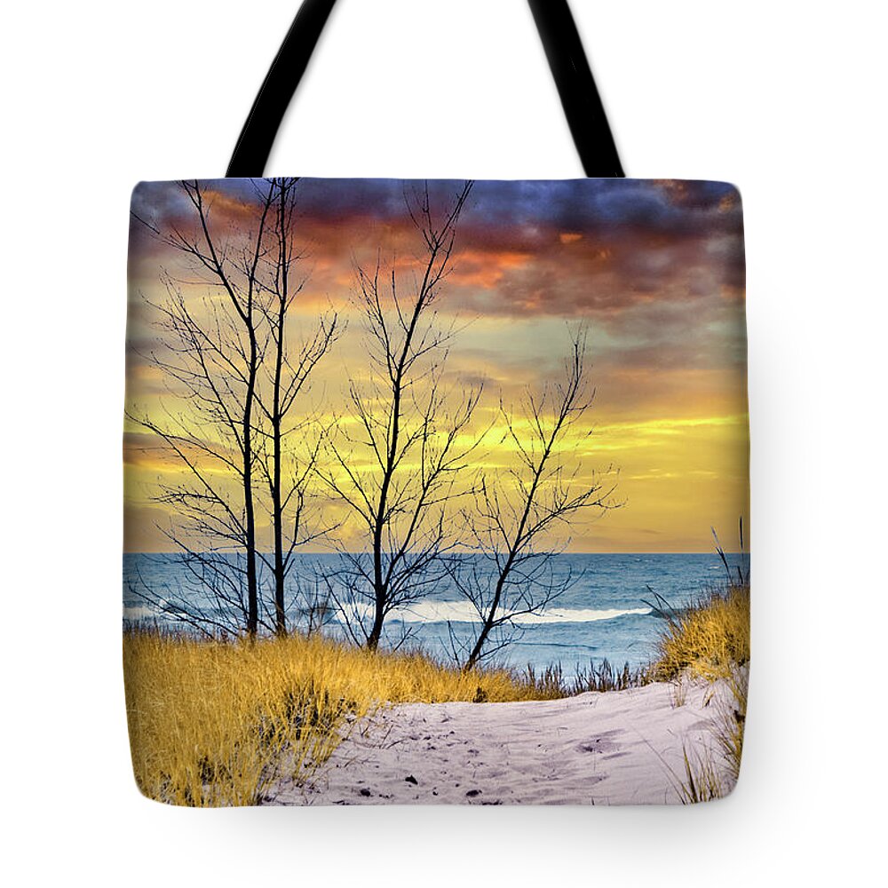 Art Tote Bag featuring the photograph Vertical Photo of a Beach at Sunset on Lake Michigan by Randall Nyhof