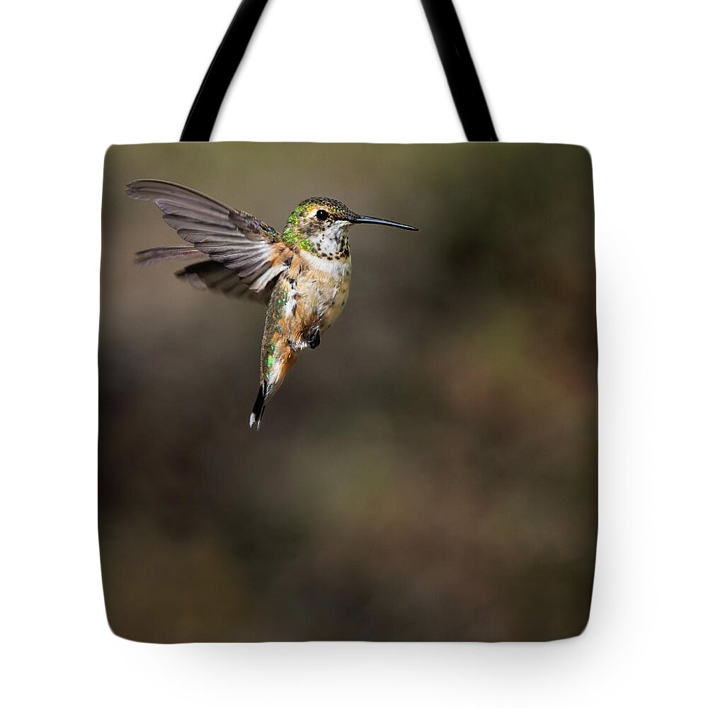 Hummingbird Tote Bag featuring the photograph Vertical Repose by Art Cole
