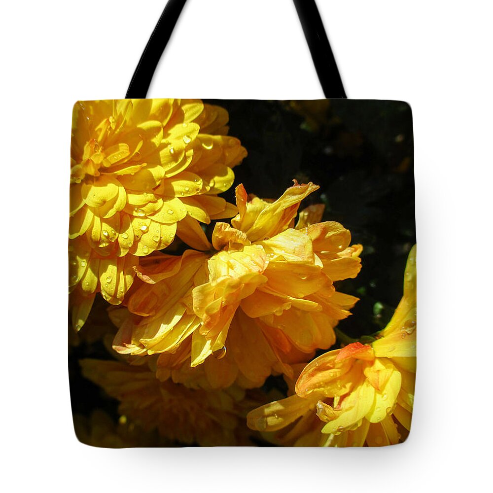 Calendula Officinalis Tote Bag featuring the photograph Very Yellow Marigolds by W Craig Photography