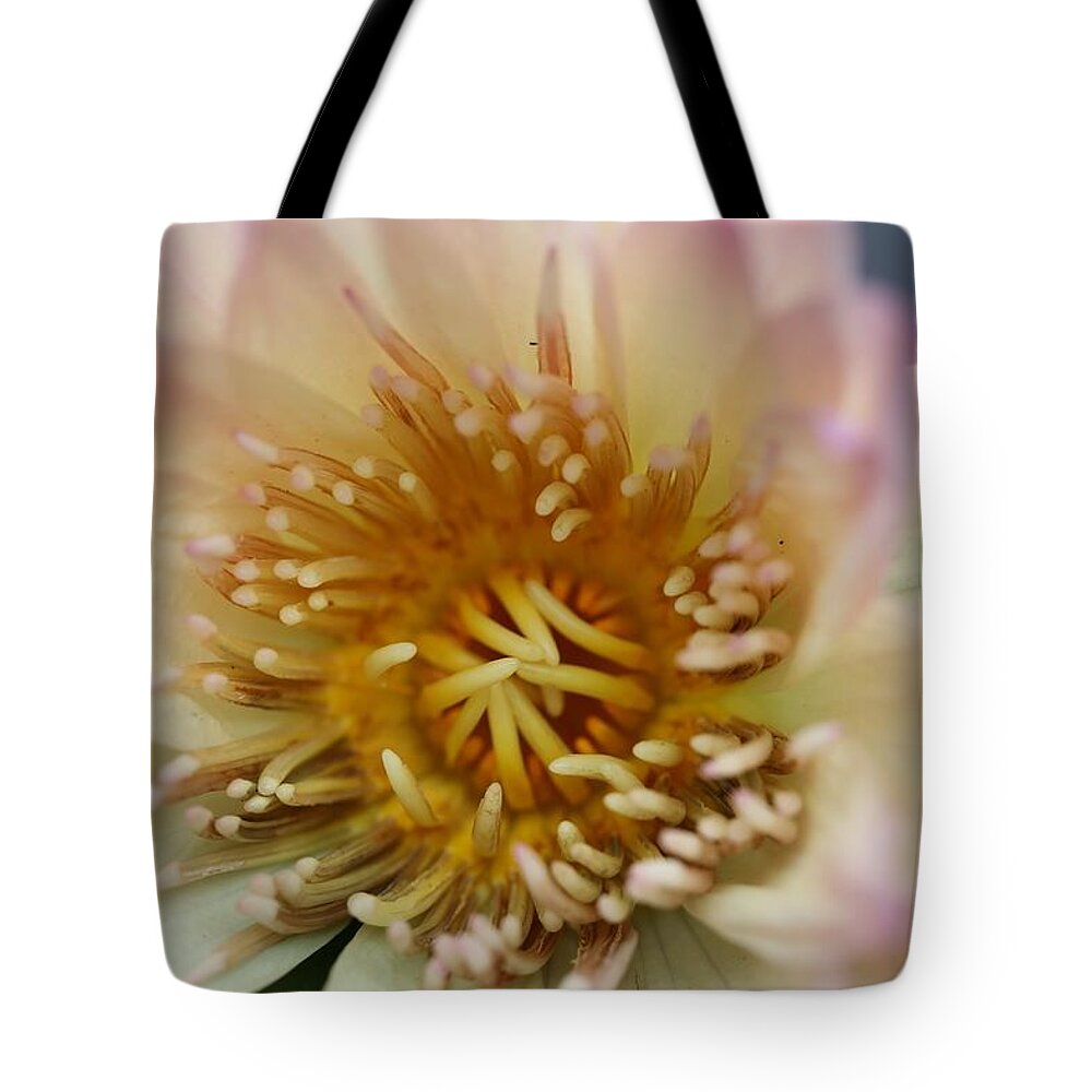 Water Lily Tote Bag featuring the photograph Intricate and Vibrant by Mingming Jiang