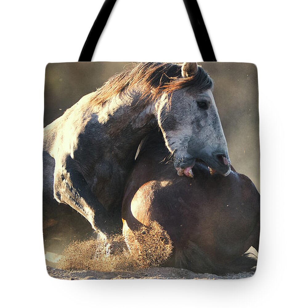 Battle Tote Bag featuring the photograph Victor by Shannon Hastings