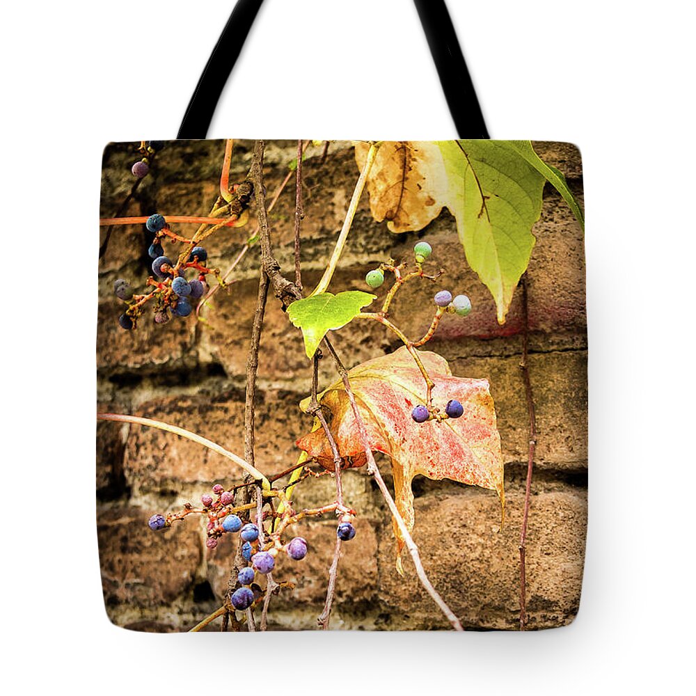 Italy Tote Bag featuring the photograph Vine and berries on brick wall by Craig A Walker