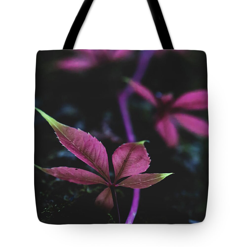 Mountain Tote Bag featuring the photograph Vine Vibes by Go and Flow Photos
