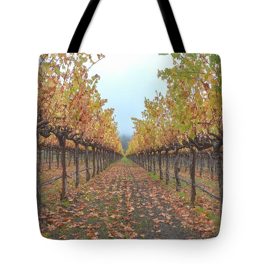 Season Tote Bag featuring the photograph Vines Forest by Jonathan Nguyen