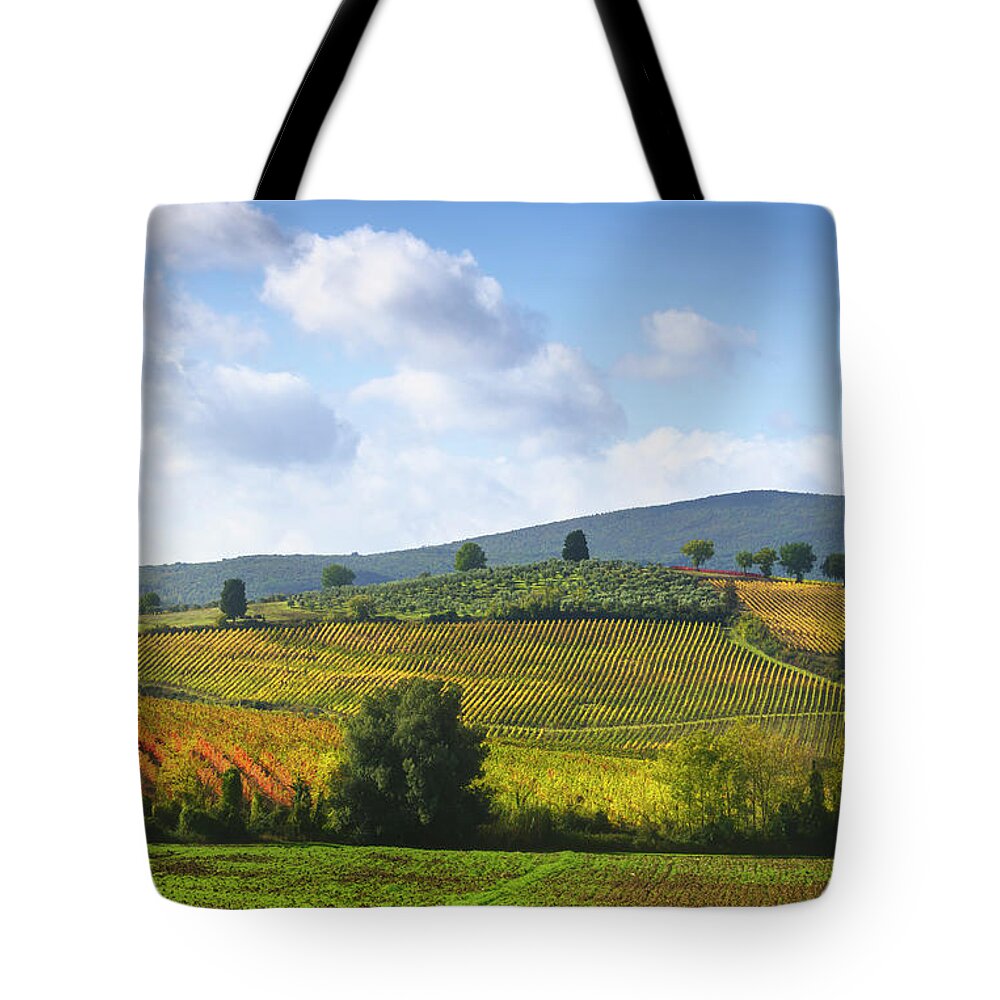 Vineyard Tote Bag featuring the photograph Vineyards and Trees at the top of the Hill. Chianti by Stefano Orazzini