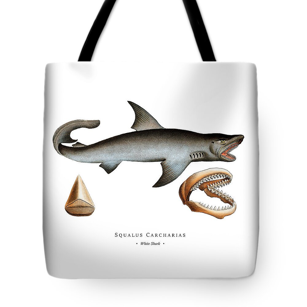 Dorsal Tote Bags