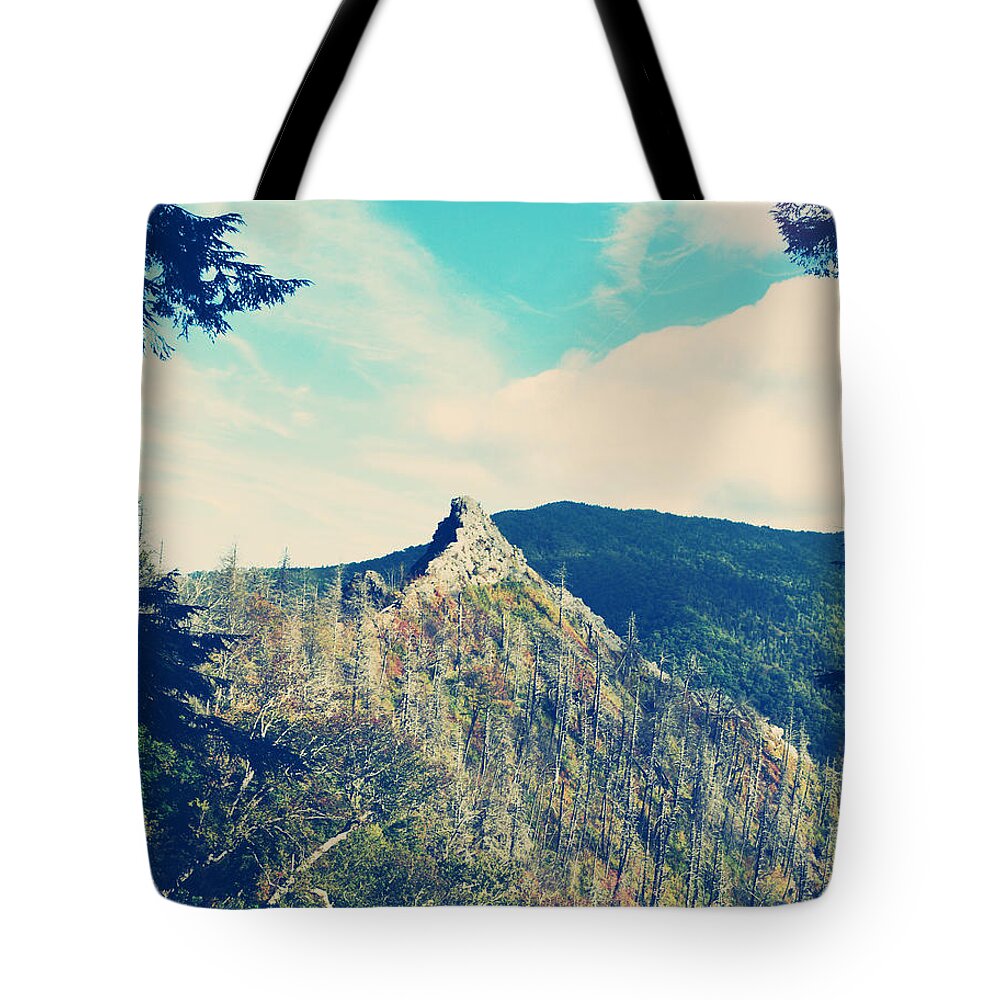 Retro Tote Bag featuring the photograph Vintage Mountains by Phil Perkins