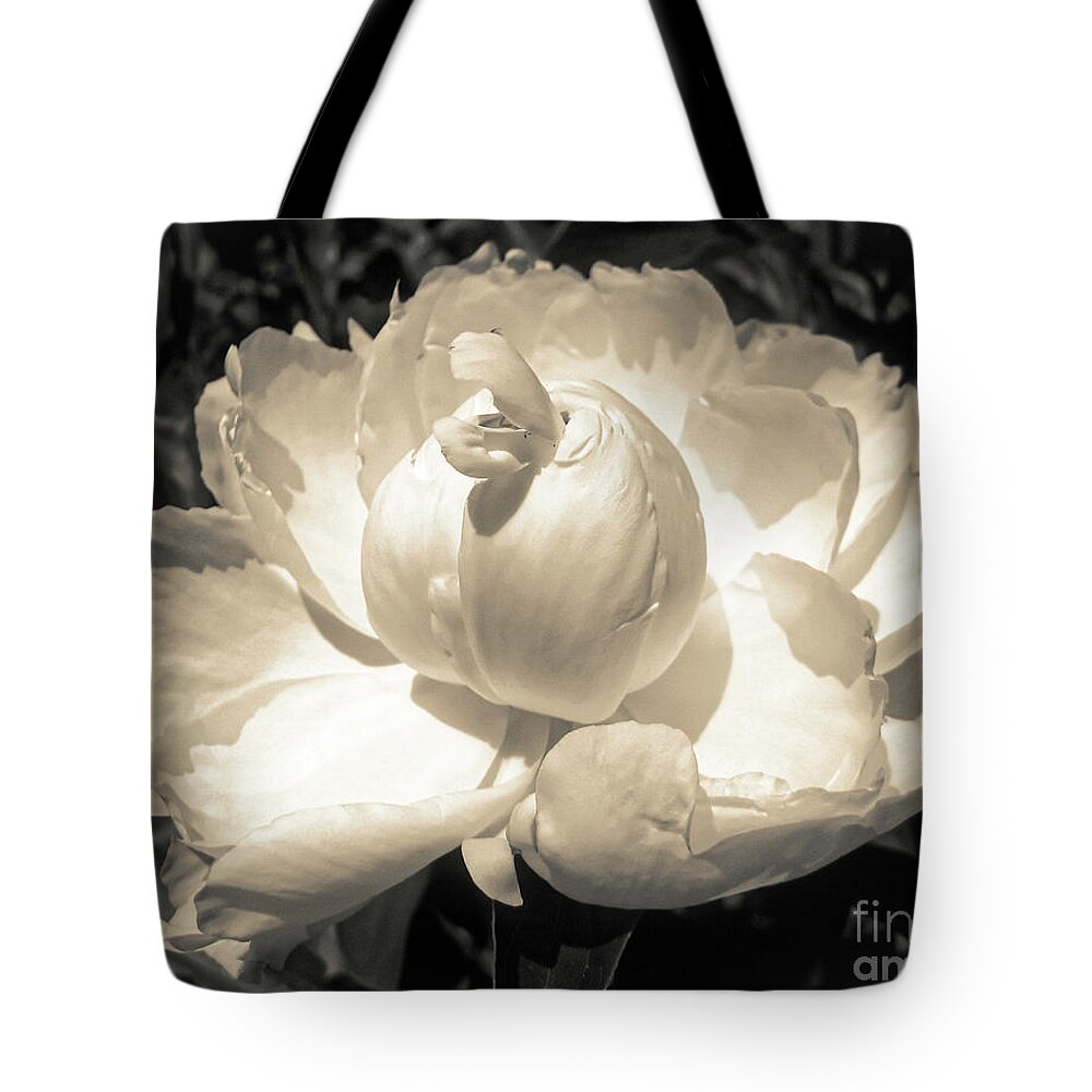 Peony Tote Bag featuring the photograph Vintage Peony by Onedayoneimage Photography