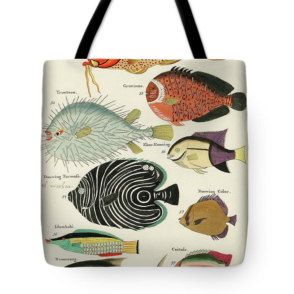 Fish Tote Bag featuring the digital art Vintage, Whimsical Fish and Marine Life Illustration by Louis Renard - Baard Mannetje, Formosa by Louis Renard