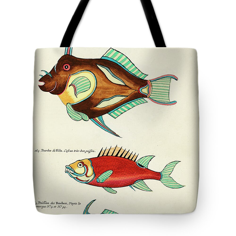 Fish Tote Bag featuring the digital art Vintage, Whimsical Fish and Marine Life Illustration by Louis Renard - Bear Fish, Poisson de Roches by Louis Renard