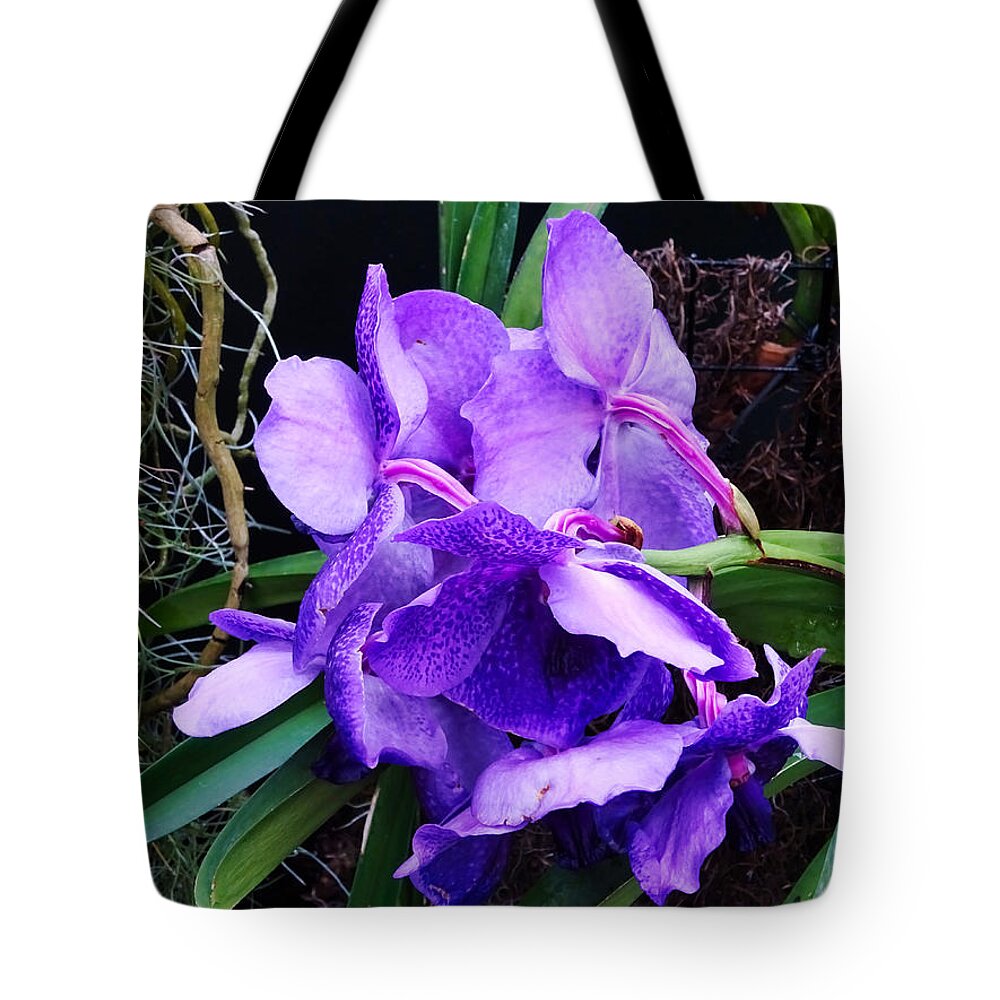 Flower Tote Bag featuring the photograph Violet Elephant Hiding by Russel Considine
