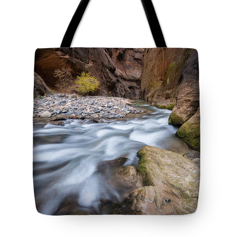Zion Tote Bag featuring the photograph Virgin River Narrows by Wesley Aston