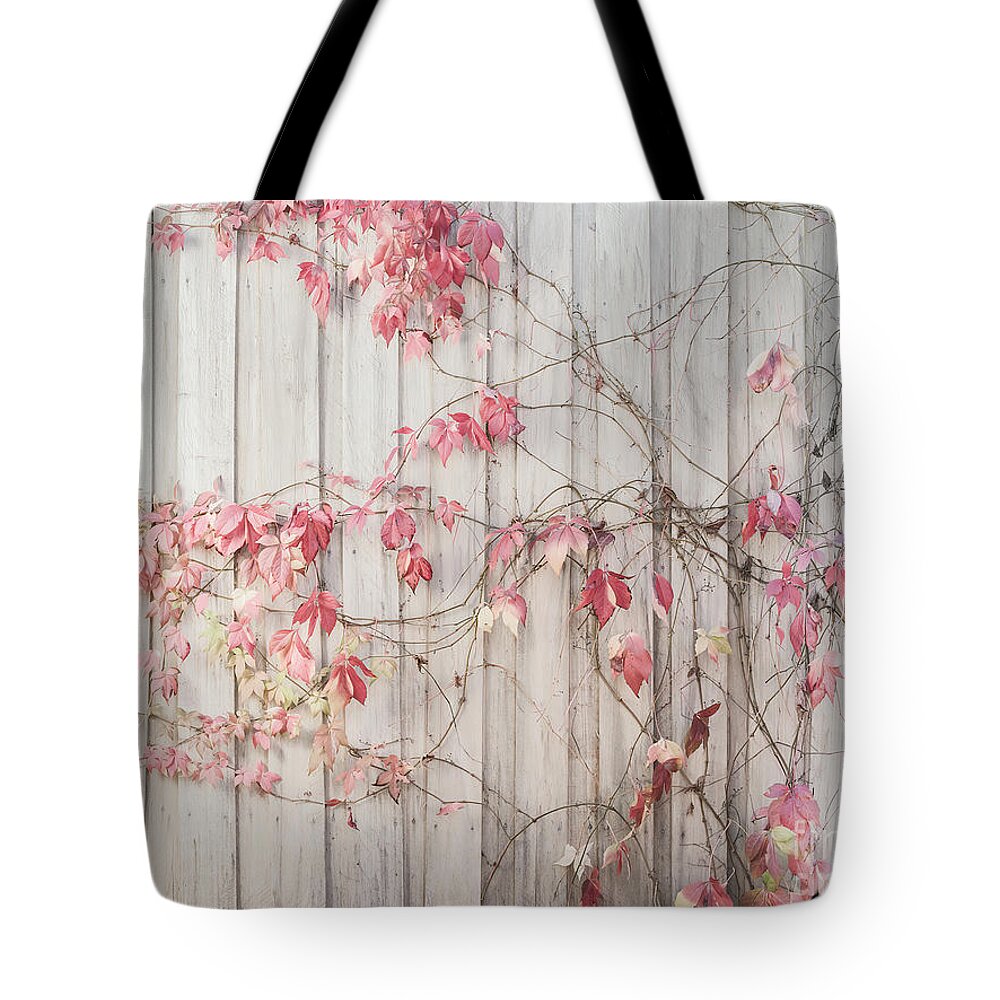 Leaves Tote Bag featuring the photograph Virginia Creeper 2 by Elaine Teague
