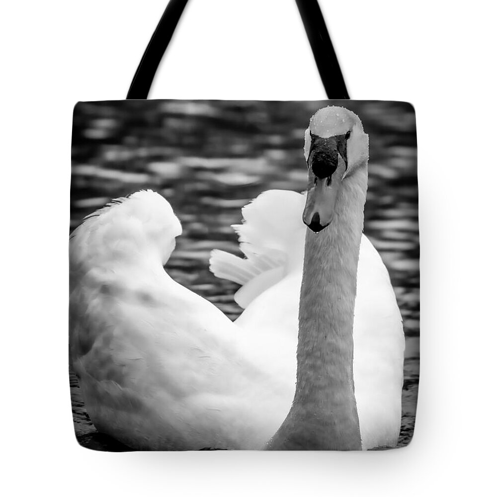 Mute Swan Tote Bag featuring the photograph Visit from a Mute Swan by Linda Bonaccorsi