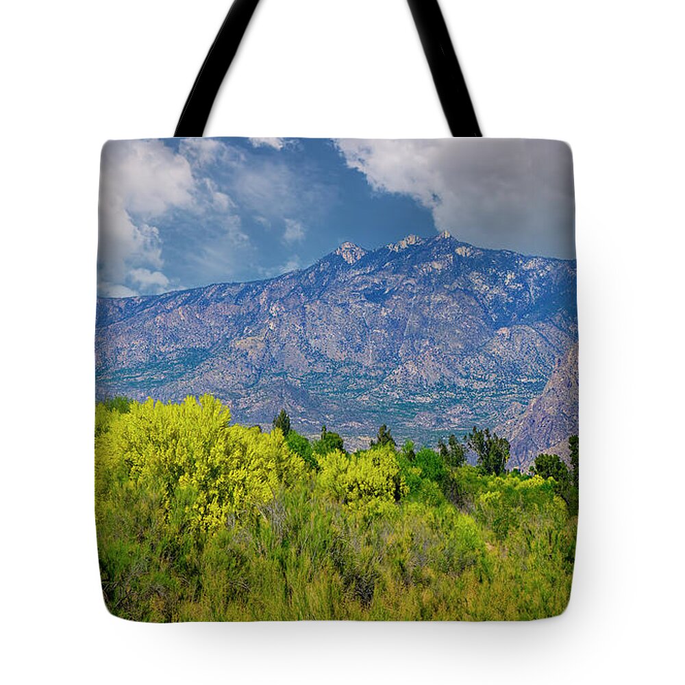 Mark Myhaver Photography Tote Bag featuring the photograph Vista del Valle 24810 by Mark Myhaver