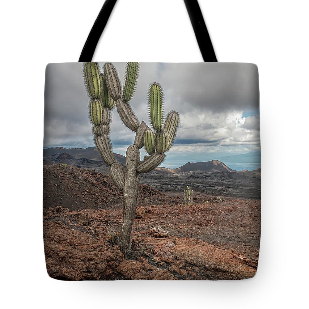 Cactus Tote Bag featuring the photograph volcan Chico by Henri Leduc