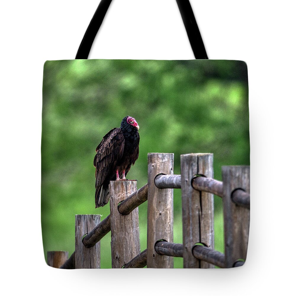 Wildlife Tote Bag featuring the photograph Vulture on a Post by Paul Freidlund