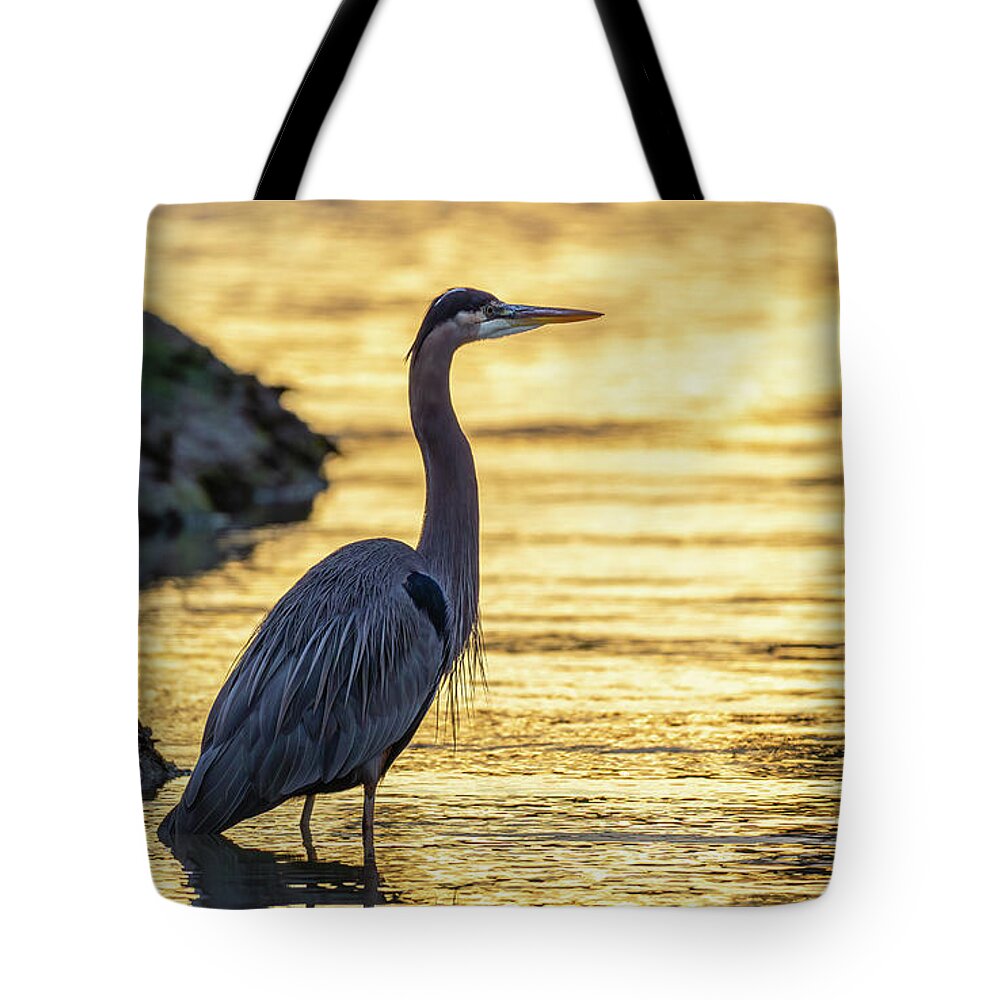 Great Blue Heron Tote Bag featuring the photograph Wader at Dawn by Rachel Morrison