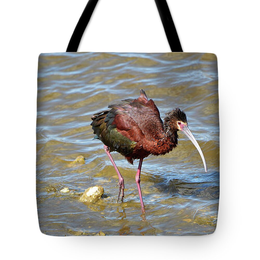 Denise Bruchman Photography Tote Bag featuring the photograph Wading in the Shallows by Denise Bruchman
