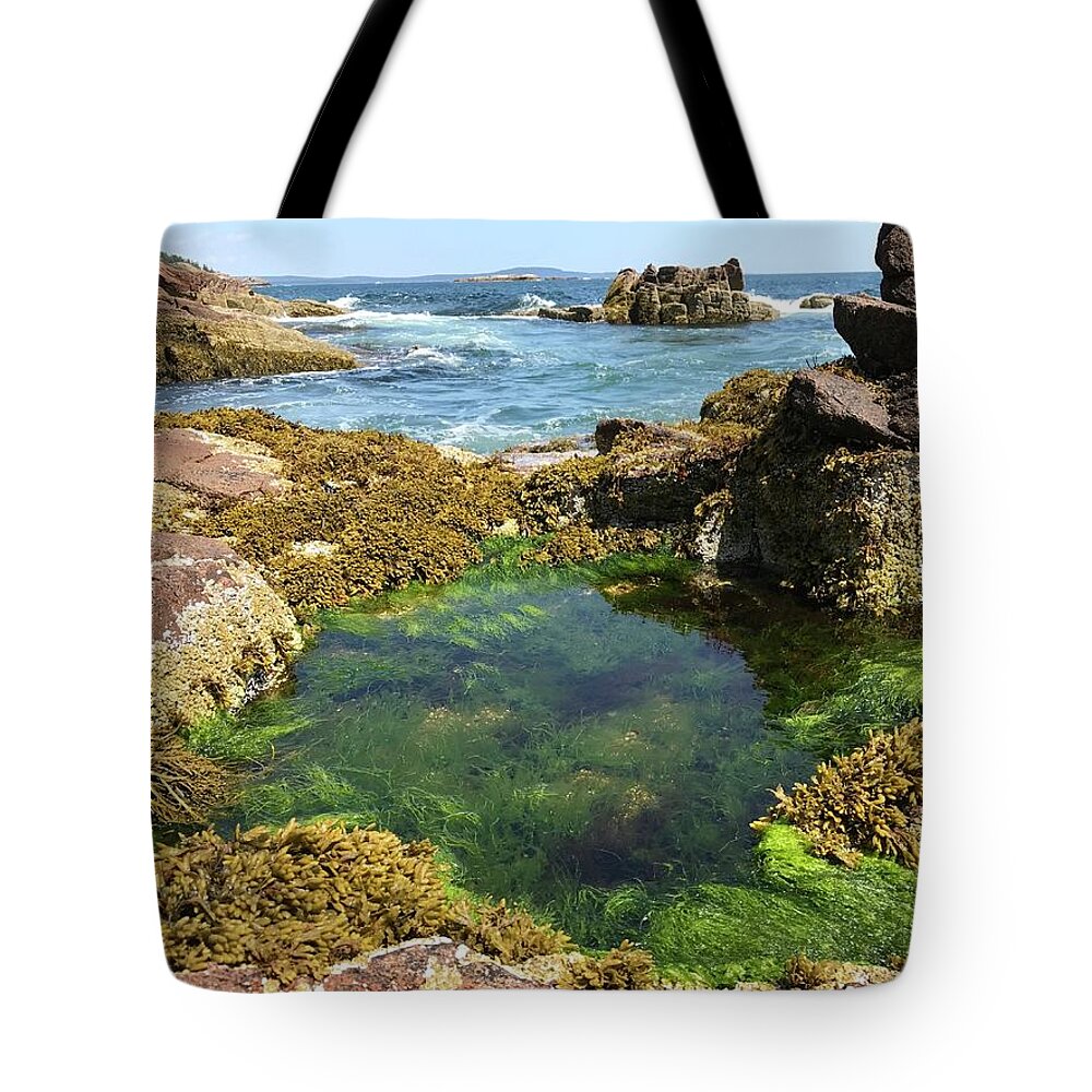 Ocean Tote Bag featuring the photograph Wading Pool by Lee Darnell