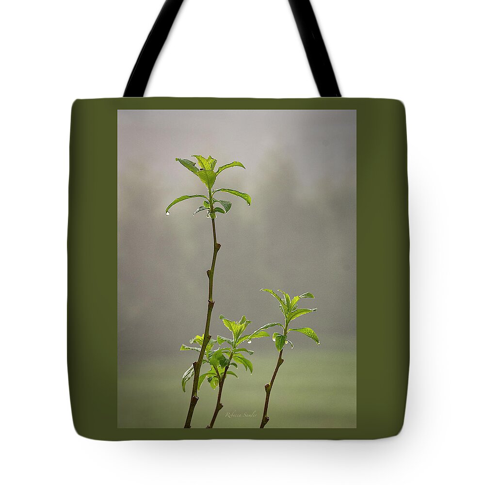 Pussy Willow Tote Bag featuring the photograph Waiting for the Fog to Lift by Rebecca Samler