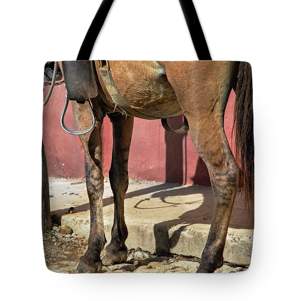 Horse Tote Bag featuring the photograph Waiting by M Kathleen Warren