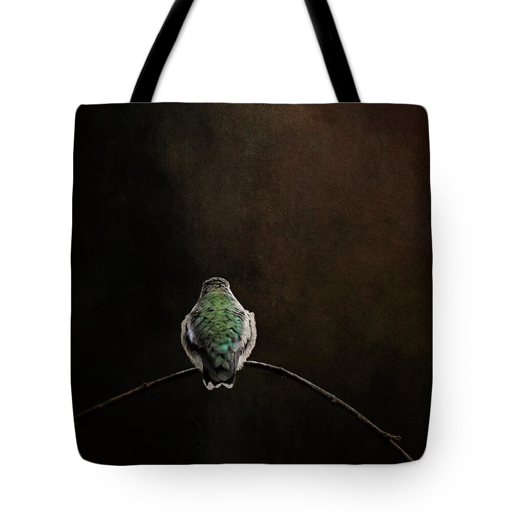 Hummingbird Tote Bag featuring the photograph Waiting On Daylight by Jai Johnson