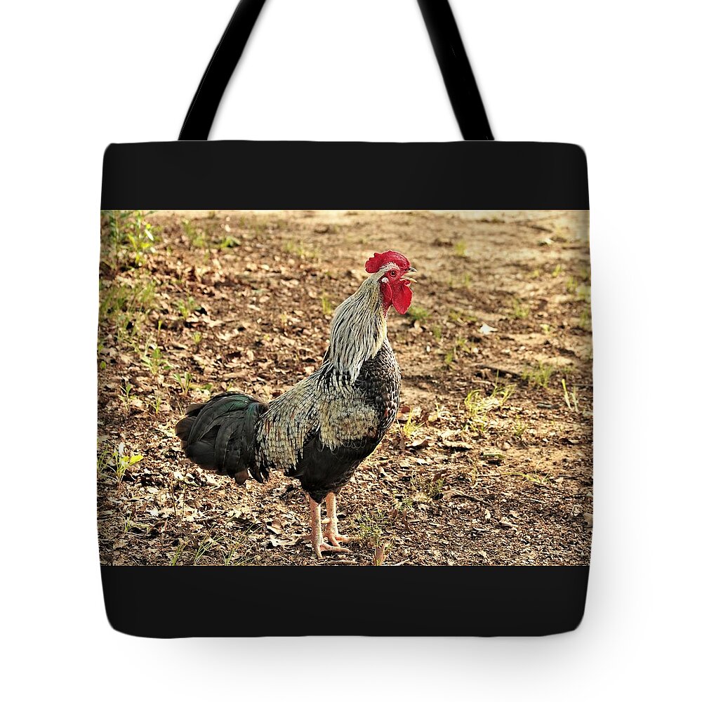 Nature Tote Bag featuring the photograph Wake Up Call by Sheila Brown