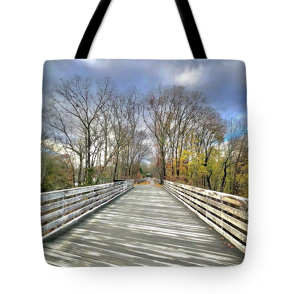 Path Tote Bag featuring the photograph Walk in Nature by Lisa Pearlman