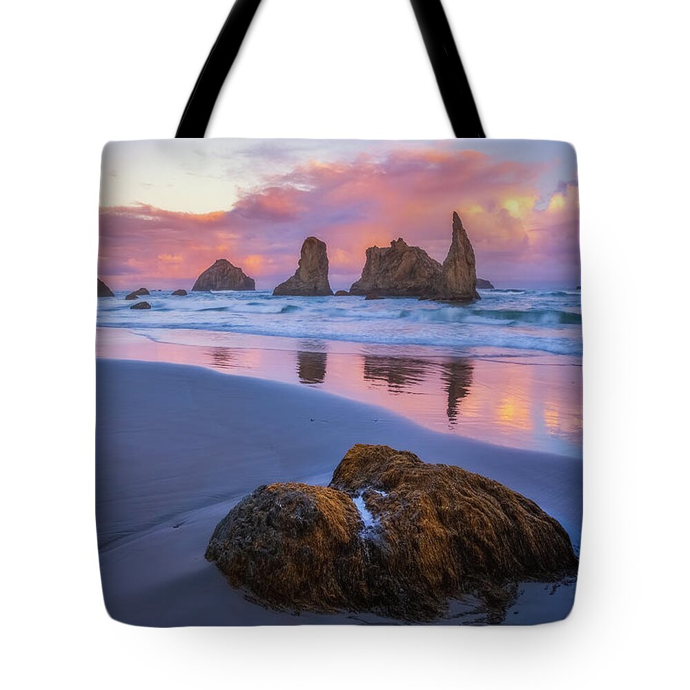 Oregon Tote Bag featuring the photograph Walk on the Beach by Darren White