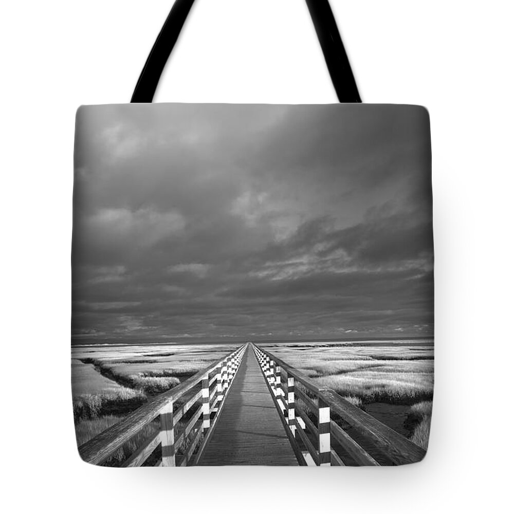 Walk With Me Tote Bag featuring the photograph Walk with Me by Puttaswamy Ravishankar