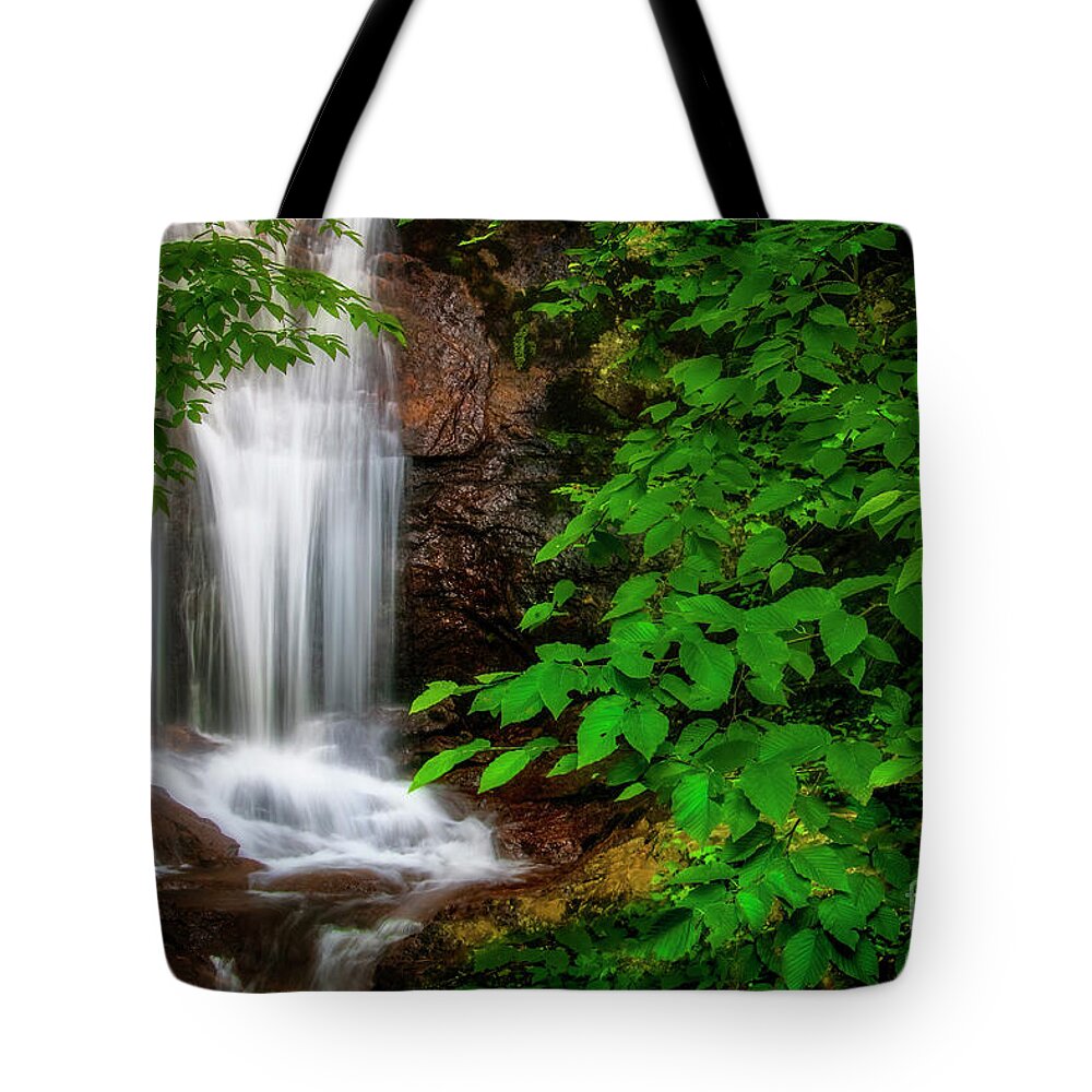 Waterfall Tote Bag featuring the photograph Walker Falls by Shelia Hunt