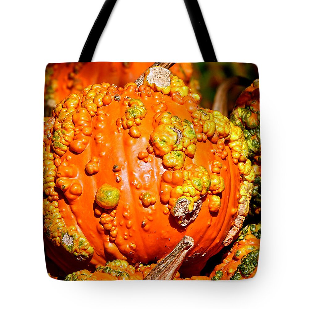October Tote Bag featuring the photograph Walking October by Ira Shander
