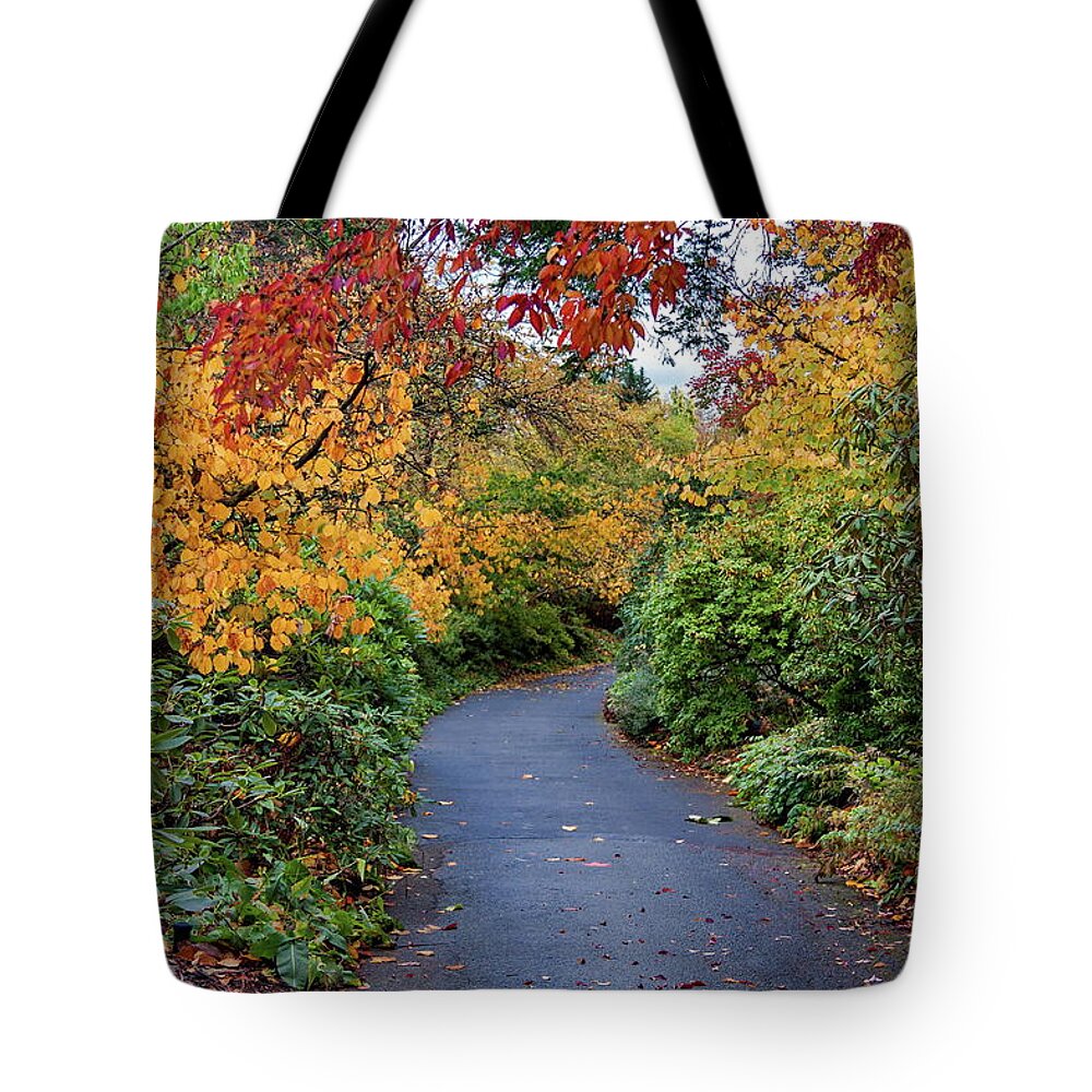 Alex Lyubar Tote Bag featuring the photograph Walking path through the autumn park by Alex Lyubar
