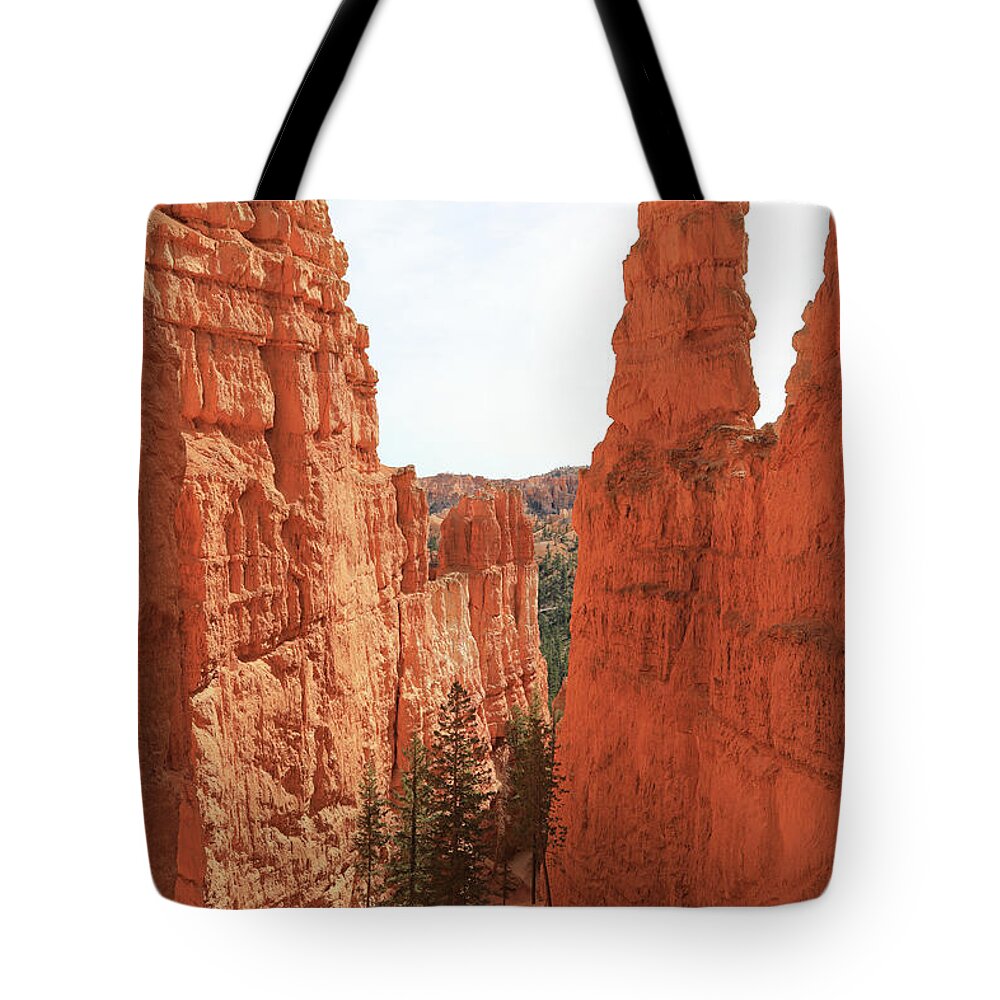 Wall Street Tote Bag featuring the photograph Wall Street in Bryce Canyon Natioinal Park by Richard Krebs