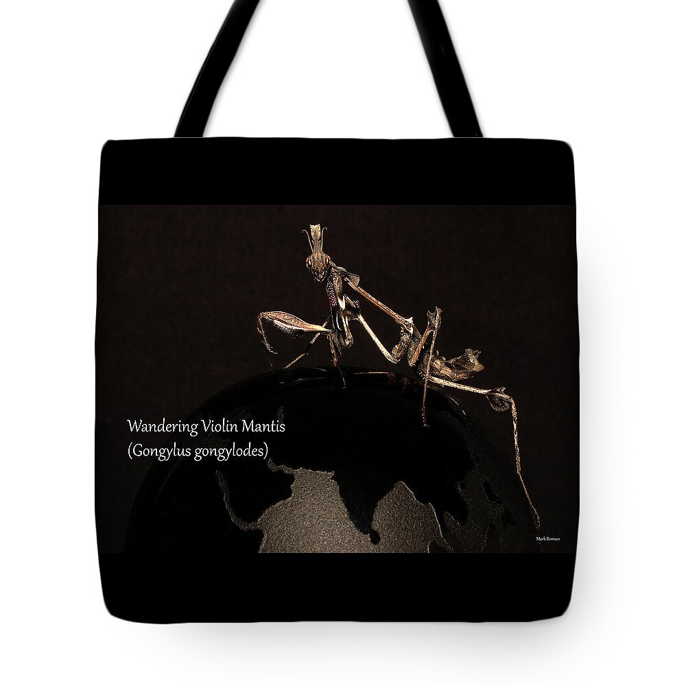 #naturephotography Tote Bag featuring the photograph Wandering Violin Mantis 1 by Mark Berman