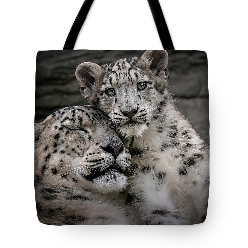 Mother Tote Bag featuring the photograph Warm Mother's Love by Chris Boulton
