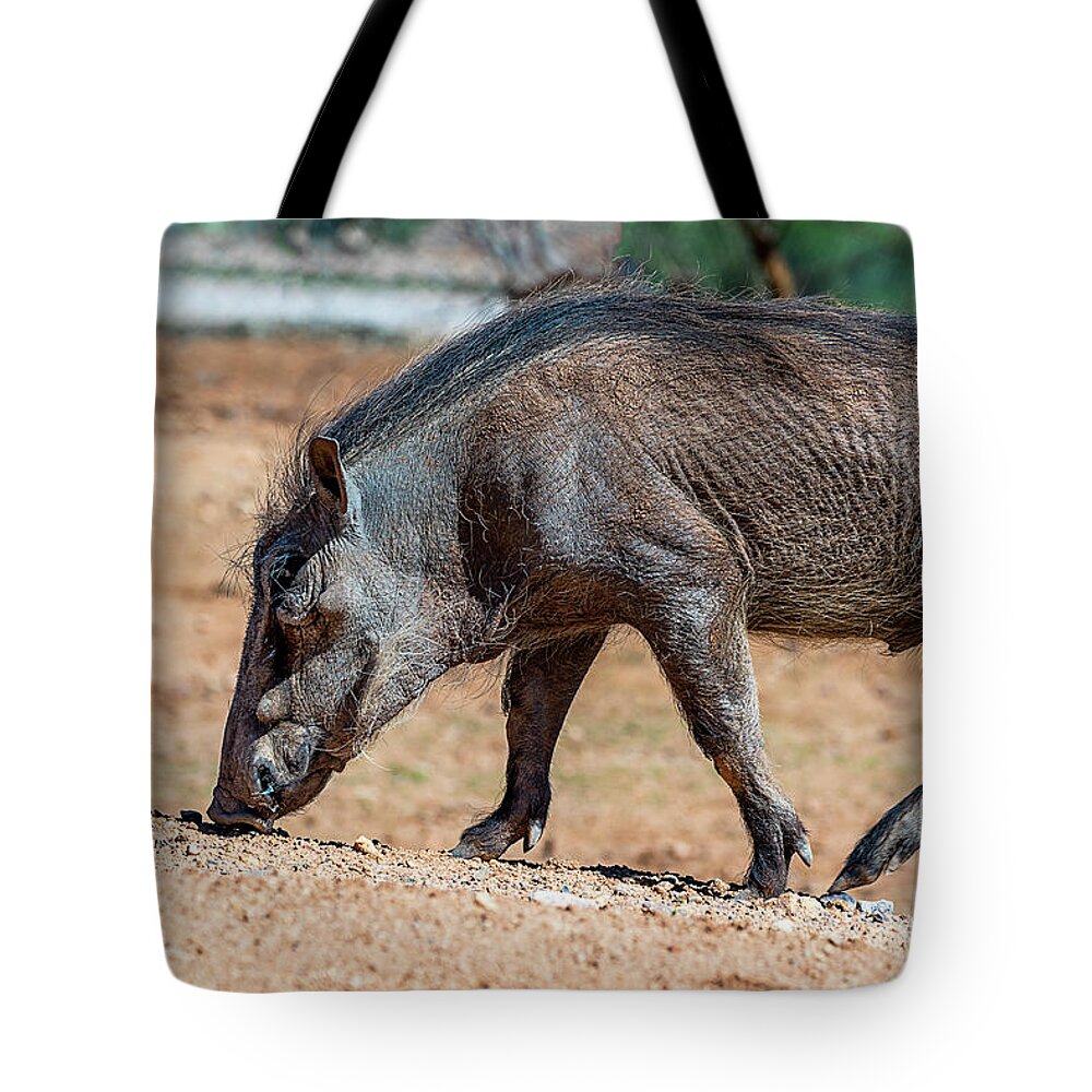  Tote Bag featuring the photograph Warthog by Al Judge
